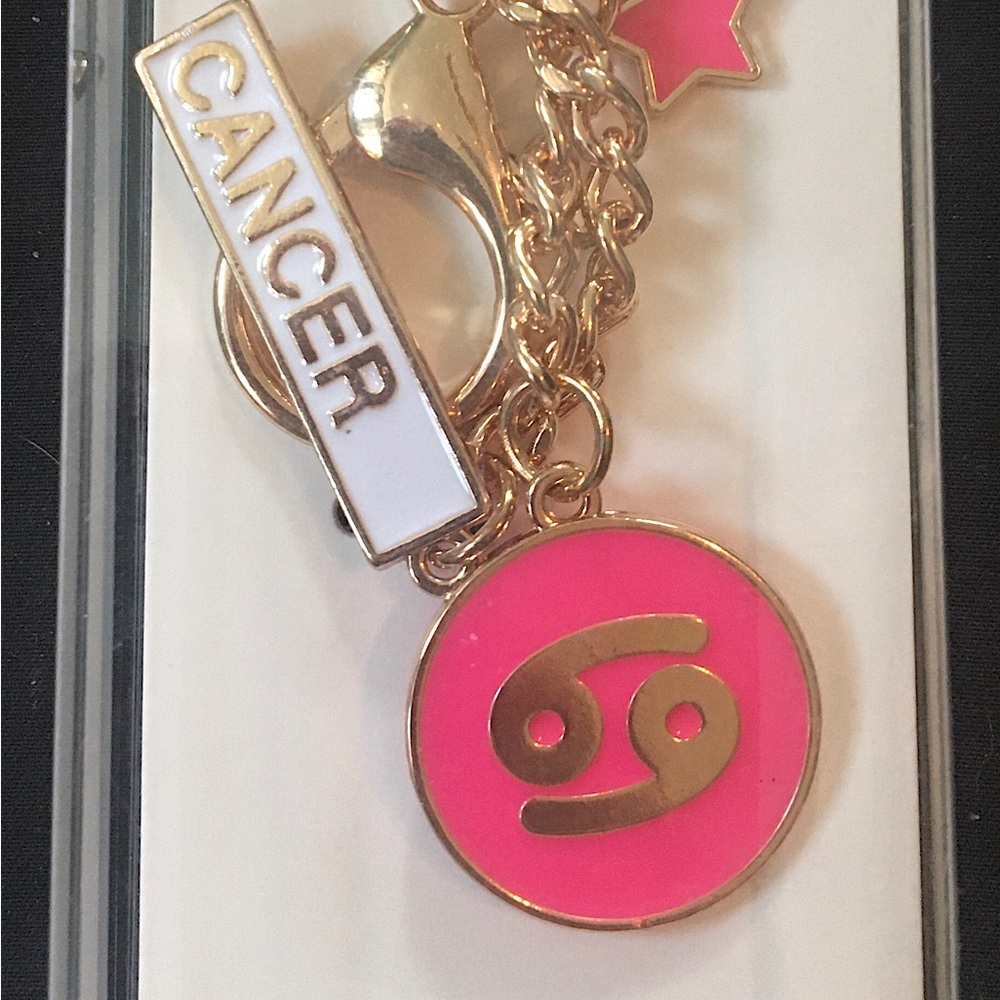 Gold and Pink Zodiac Keychain